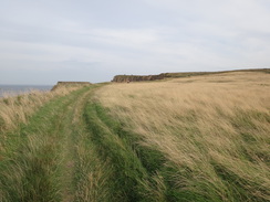 P2012DSC03461	The path leading up to Lebberston Cliff.