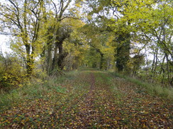 P2012DSC04101	The track heading east from Troys Hall.