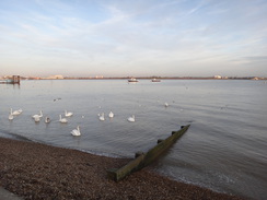 P2013DSC04441	The foreshore in Gravesend.