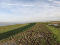 P2013DSC04492	Following the floodbank between Shornmead Fort and Cliffe Fort.