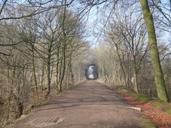 P2013DSC05195	Looking up the Middleton Incline.