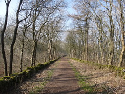 P2013DSC05250	Heading towards Friden.