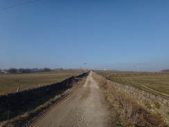 P2013DSC05298	Teh track leading to the A515 from the end of the trail.