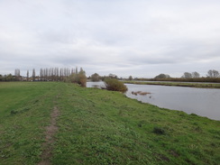 P2017DSC07274	The river on the approach to Earith.