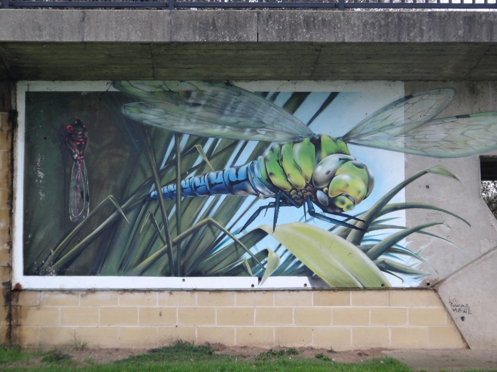 P2017DSC07411	Artwork on the bridge over the river in St Neots