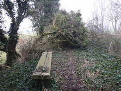 P2018DSC07838	A fallen tree blocking the path at Cattleford Bridge.