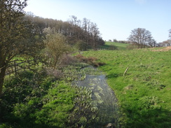 P2018DSC09691	A stream near Fineshade Abbey.