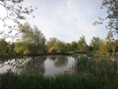 P2018DSC00562	A pond in a garden in Islip.