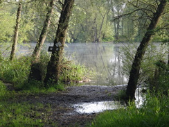 P2018DSC00570	The lake in the woodland to the north of Islip Mill.