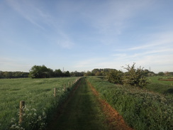 P2018DSC00577	The path through Titchmarsh Local Nature Reserve.