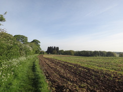 P2018DSC00596	The path heading north out of Aldwincle.