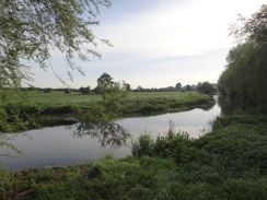 P2018DSC00620	The Nene below Achurch.