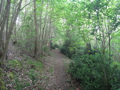 P2018DSC00644	The path through The Linches.