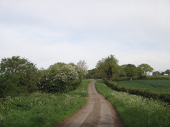 P2018DSC00655	Following the road northwestwards from Pilton.