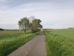 P2018DSC00667	The road heading towards Brigstock.