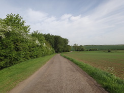 P2018DSC00671	The track leading towards Lyveden New Bield.