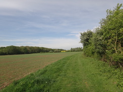 P2018DSC00689	Following a path past Lady Wood Head.