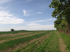 P2018DSC00695	Heading west towards Brigstock Country Park.