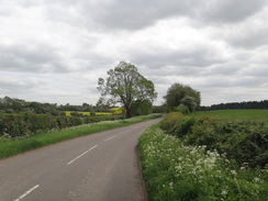 P2018DSC00741	Following the road east from Slipton.