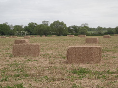 P2018DSC00872	Bales in a field.
