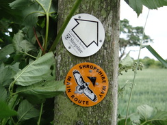 P2018DSC01934	A rare Shropshire Way marker.