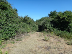 P2018DSC02164	The trackbed of the old March to Spalding railway.