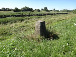 P2018DSC02175	Guyhirn trig pillar.