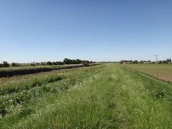 P2018DSC02188	Following the Nene north from Guyhirn.