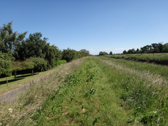 P2018DSC02201	Following the Nene northeastwards towards Wisbech.