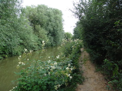 P2018DSC02256	Following the Oxford Canal north out of Banbury.