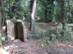 P2018DSC02340	A Stanton Shelter in Calves Close Spinney.