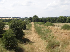 P2018DSC02360	Looking along an old railway line near Woodford Halse.