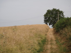 P2018DSC02617	The path leading to Lower Harlestone.