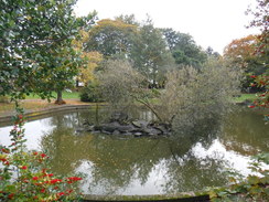 P2019DSCF3901	A pond in Birchfield Gardens, Lunts Heath.