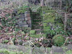 P2019DSCF4061	Old steps on the hillside above Jumbles reservoir.