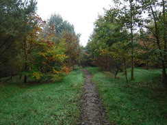 P2019DSCF4096	The path leading north towards Turton and Entwistle reservoir.