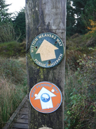 P2019DSCF4160	Footpath markers leaving the woodland.