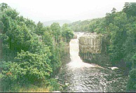 ZY25	High Force.